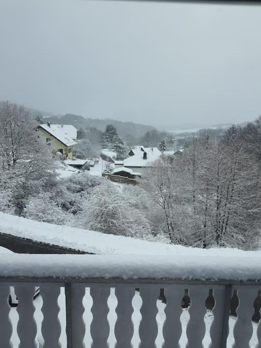 Holzhaus Chalet Nationalpark Eifel Hund Willkommen Hellenthal Exterior photo