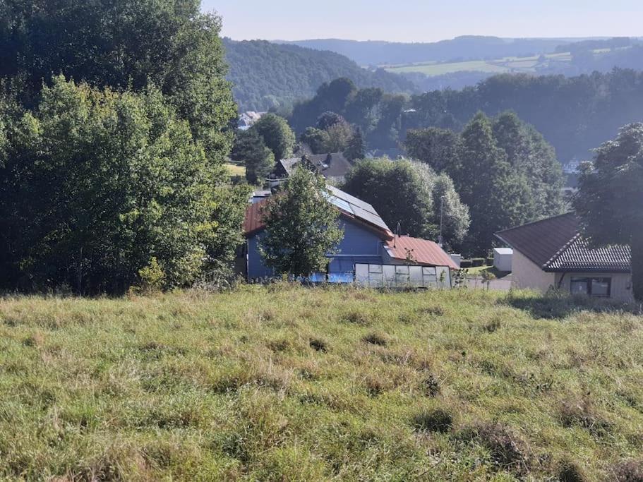 Holzhaus Chalet Nationalpark Eifel Hund Willkommen Hellenthal Exterior photo