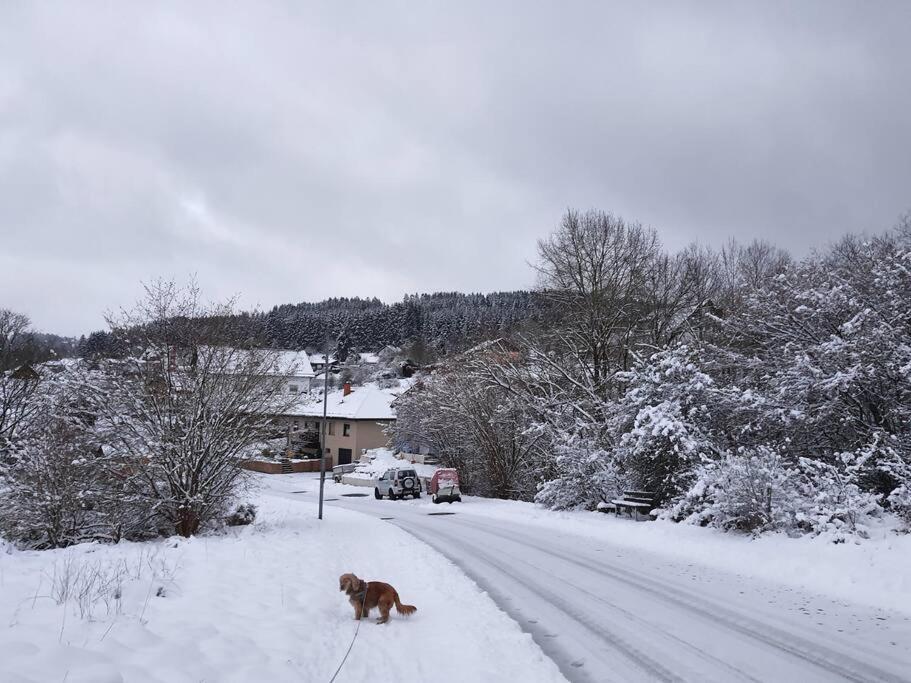 Holzhaus Chalet Nationalpark Eifel Hund Willkommen Hellenthal Exterior photo